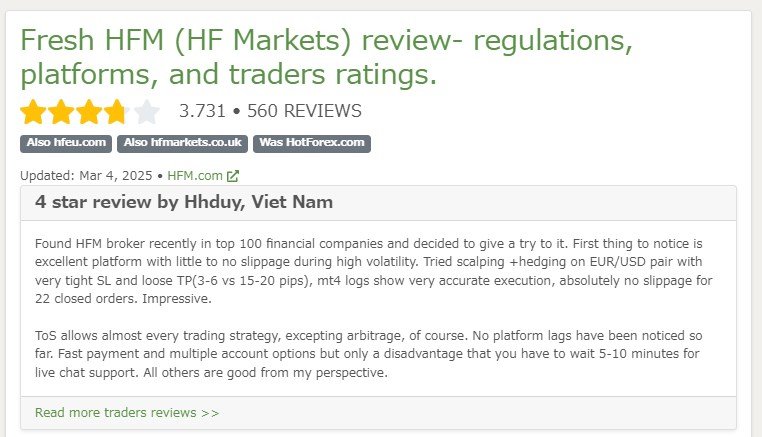 HFM FPAレビュー