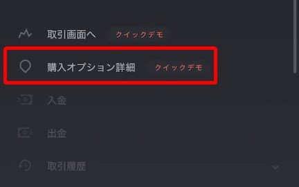 ハイロー スマホサイト 購入オプション詳細